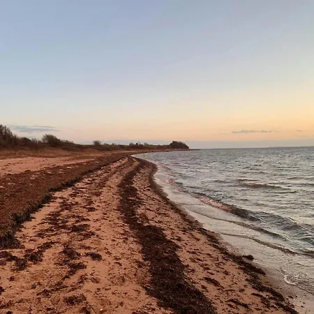 Σπίτι διακοπών Soul In A 100-Year-Old Villa On Langeland Tranekær